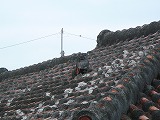 屋根獅子