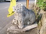 南城市佐敷字冨祖崎の石獅子2